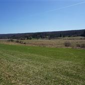 Tamerlaine Sanctuary and Preserve - Fields and Trails