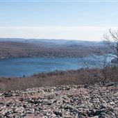 Abram S. Hewitt State Forest