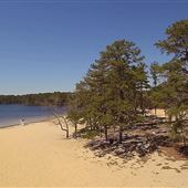 Bass River State Forest - Lake Absegami