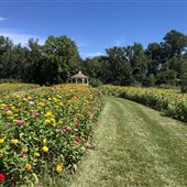 Paradise Organic Farm