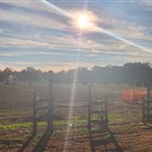 Snyder's Farm