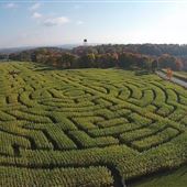 Lentini Farms