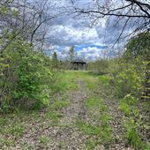 Glenhurst Preserve