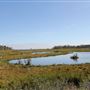 Cattus Island County Park