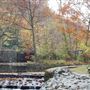 Echo Lake Park