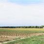 Cumberland County Farm Roads - Center Road, Upper Deerfield Twp