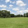 Branch Brook Park Meadows