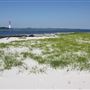 Island Beach State Park - Barnegat Inlet