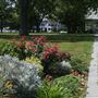 Potter Park