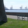 Stephen R. Gregg Park
