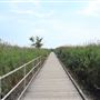 Richard DeKorte Park (New Jersey Meadowlands Commission) - Marsh Discovery Trail