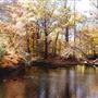 Flat Rock Brook Nature Center
