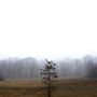 Campgaw Mountain Reservation