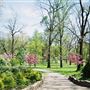 Verona Park