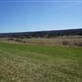 Tamerlaine Sanctuary and Preserve - Fields and Trails