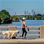 Cooper River Park
