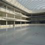 American Dream - The Rink