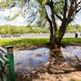 James J. Braddock Park