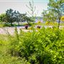 Laurel Hill Park