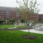 Liberty Square Park