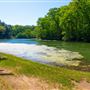 Shark River Park