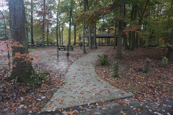 Cheesequake State Park - Spring Hill Picnic Area