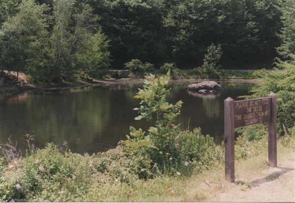 Silas Condict Park