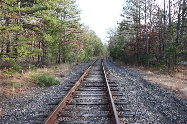 Cape May Seashore Lines