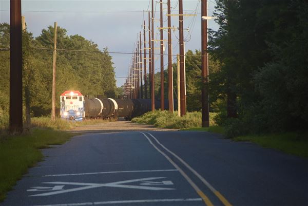 Cape May Seashore Lines