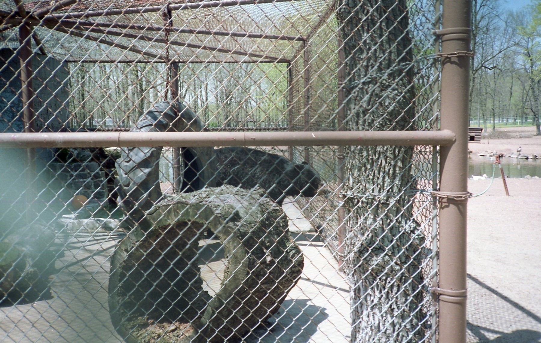 Locations Hub Johnson Park Zoo locations-hub-johnson-park-zoo