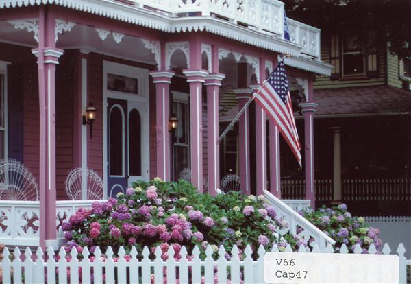 Cape May Painted Ladies