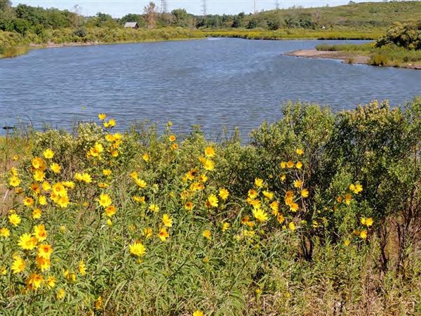 Harrier Meadow (New Jersey Meadowlands Commission)