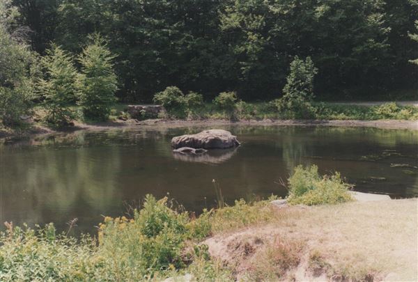 Silas Condict Park
