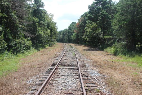 Cape May Seashore Lines