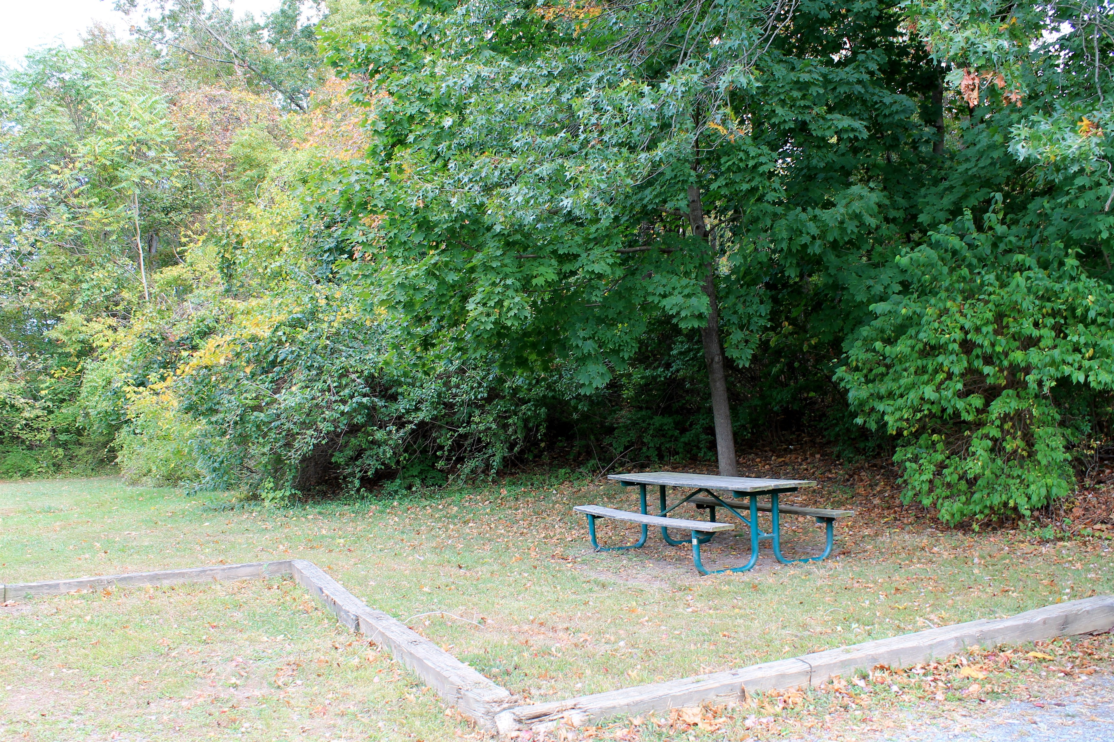 Locations Hub - John W. Flemer Preserve