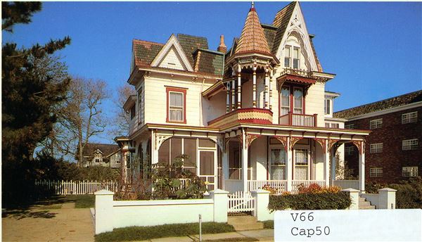 Cape May Painted Ladies