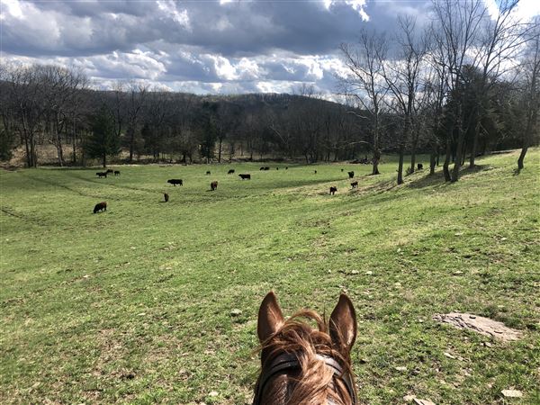 Harmony Hollow Run