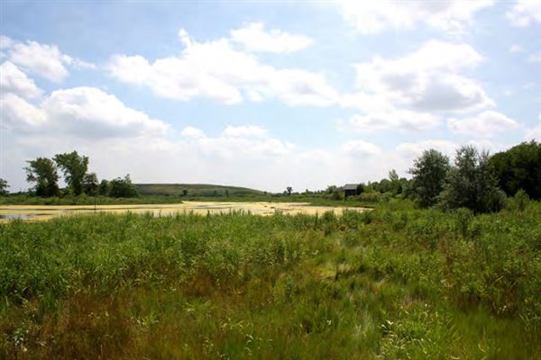 Harrier Meadow (New Jersey Meadowlands Commission)