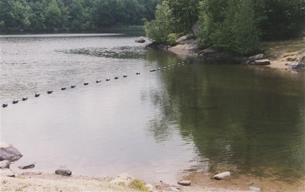 Silas Condict Park