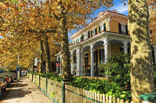 Cape May Painted Ladies