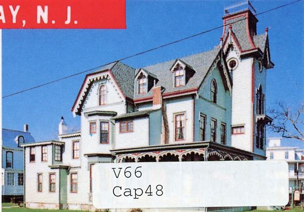 Cape May Painted Ladies