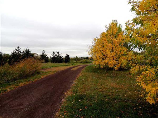 Harrier Meadow (New Jersey Meadowlands Commission)