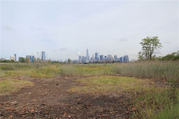 Liberty State Park - Pesin Drive Grove and South Lawn