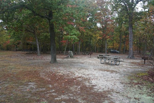 Cheesequake State Park - Spring Hill Picnic Area