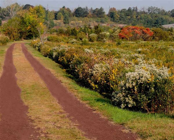 Harrier Meadow (New Jersey Meadowlands Commission)