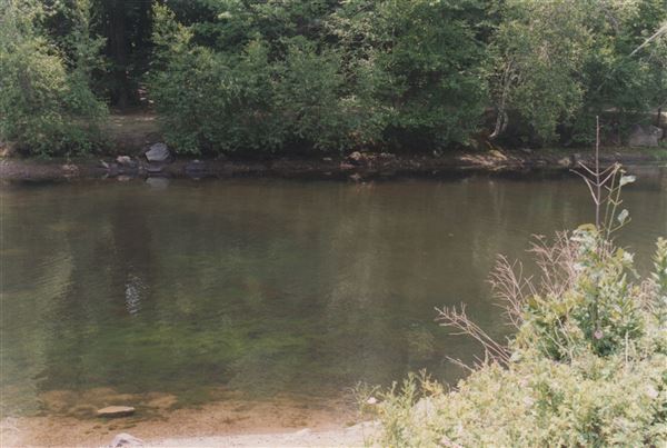 Silas Condict Park