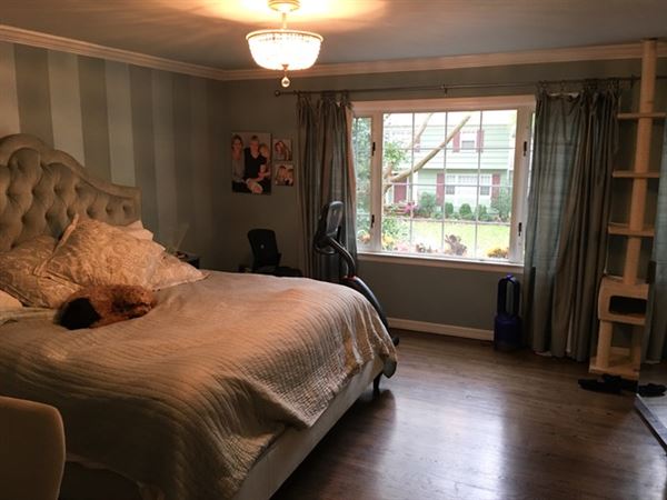 House #10148056