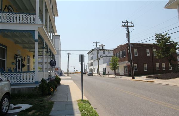 Cape May Painted Ladies