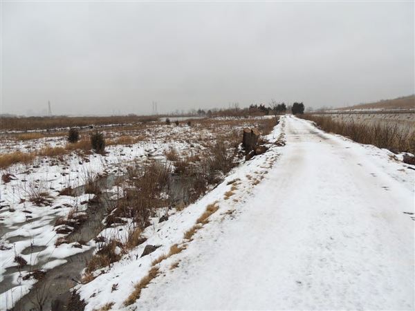 Harrier Meadow (New Jersey Meadowlands Commission)