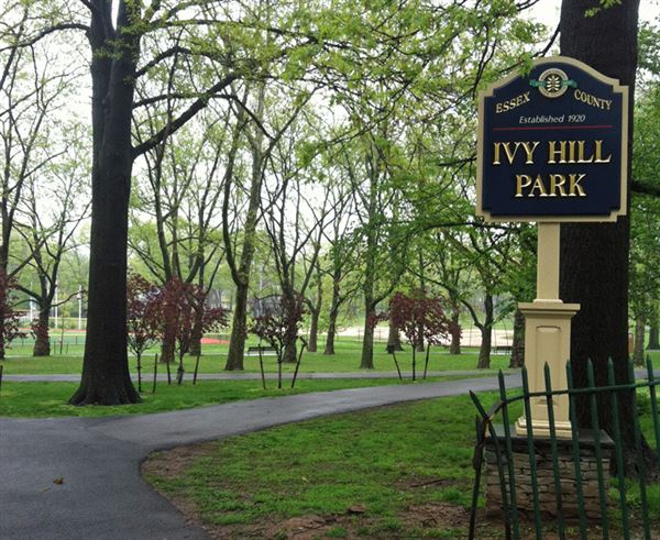Ivy Hill Park